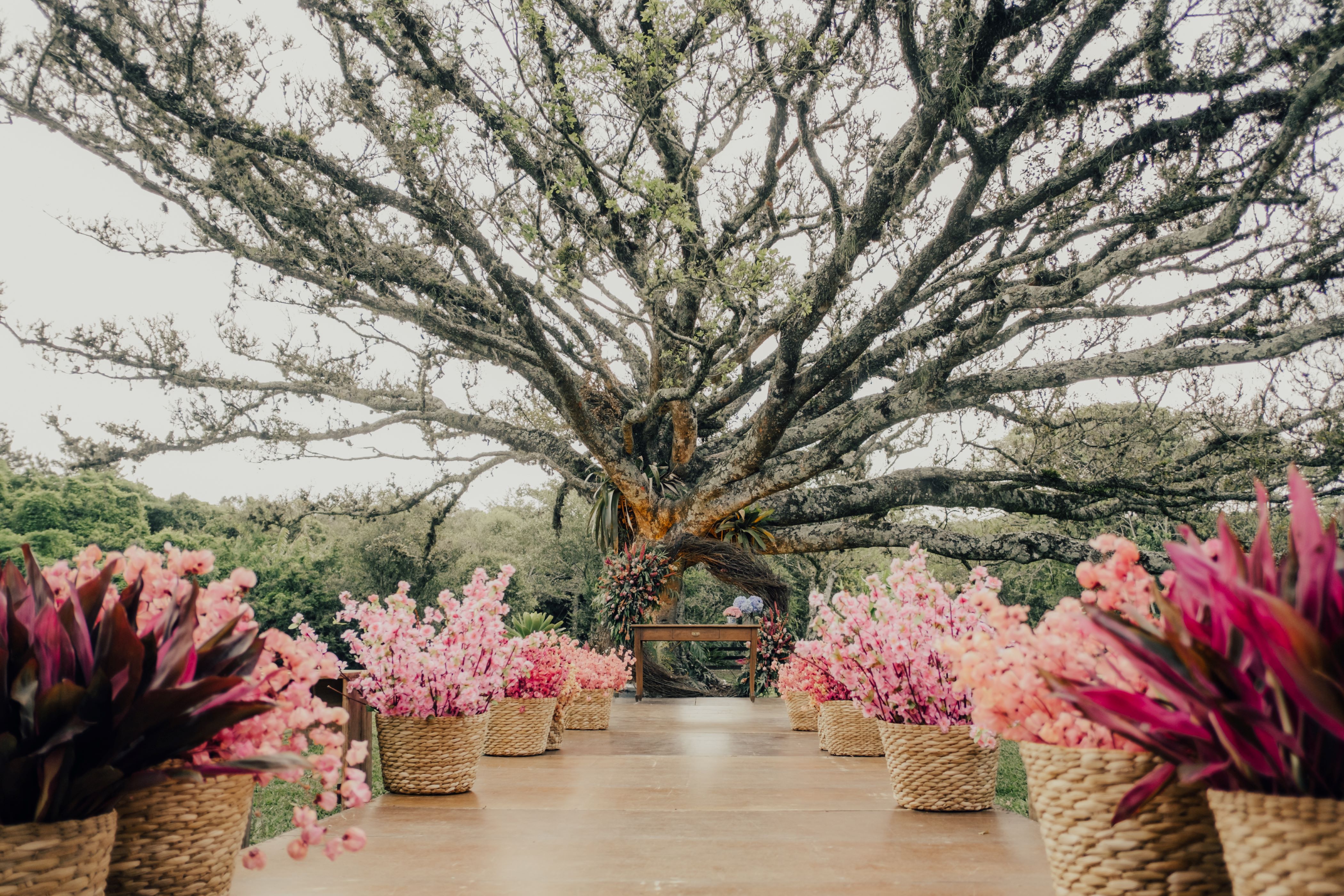 DANIEL E CESAR-92.jpg